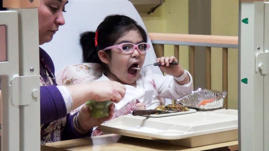 Alimentacion