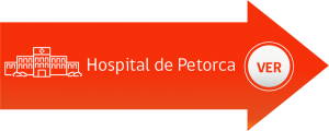 Recurso 26