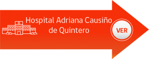 Recurso 31