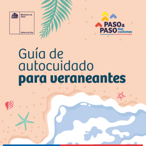 redes sociales_guia veraneantes_ig