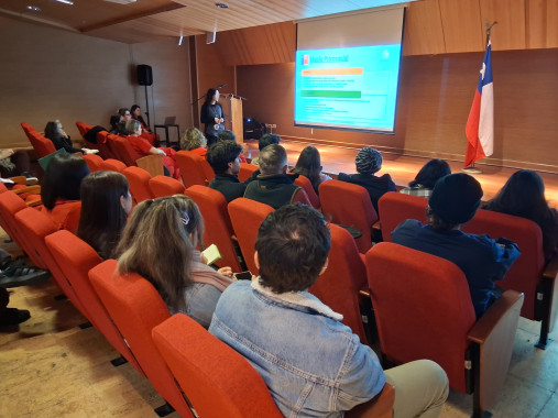 Hospital Dr. Gustavo Fricke acerca la Unidad de Atención y Control en Salud Sexual (UNACESS) a la comunidad