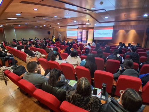 Hospital Dr. Gustavo Fricke recibe reconocimiento internacional por avances en el tratamiento del ACV